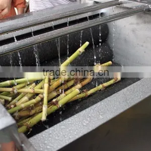 MSTP-80 Potato Carrot Vegetable Root Washing and Peeling Machine thumbnail-4