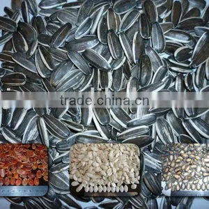 High Quality Chinese Sunflower Seeds 5009 New Crop thumbnail-1