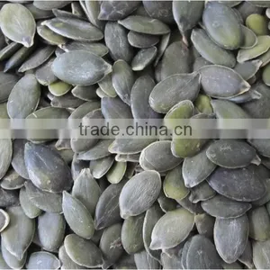 Inner Mogolia Pumpkin Kernels Grow Without Shell for US Market thumbnail-2