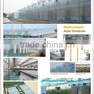 Commercial Greenhouses thumbnail-1