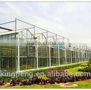 Large Size and Multi-Span Agricultural Greenhouses Commercial Glass Greenhouse thumbnail-1