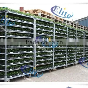 151 Seedling Cart Seedling Trolleys Seedling Rack thumbnail-3