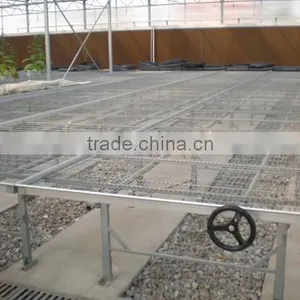 Factory Price PC Sheet Covered Agricultural Greenhouse For Vegetable Seeds thumbnail-5