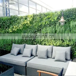 Exterior Grade Green Walls Made With Buxus Sprays to Create a Simple Green Backdrop thumbnail-3