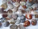 Natural Pebble Stone thumbnail-1