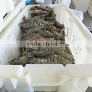 Frozen Spicy Shrimp thumbnail-1