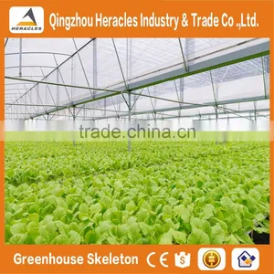 Heracles Trade Assurance Commercial Hydroponics Greenhouse thumbnail-4