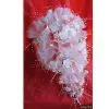 Wedding Article thumbnail-1