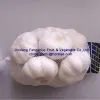 China Fresh Garlic thumbnail-1