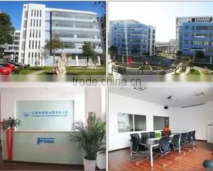 Shanghai Top Fortune Industry Co., Ltd. company overview - view 2 thumbnail