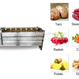 Working Principle Of Fruit And Vegetable Brush Washing Machine Manufacturing Process thumbnail-2
