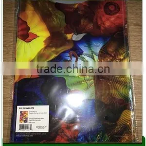 PP Material and Document Bag Type Clear Plastic File Envelopes thumbnail-2