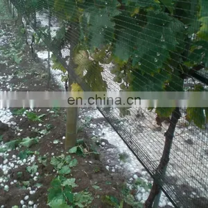 Wholesale Anti-hail Net For Orchards thumbnail-4