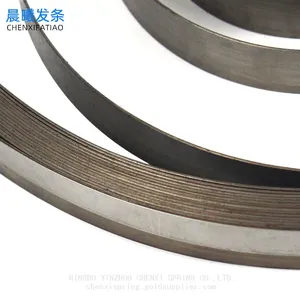 Carbon Steel Spring for Hose Reel Recoil Spring thumbnail-3