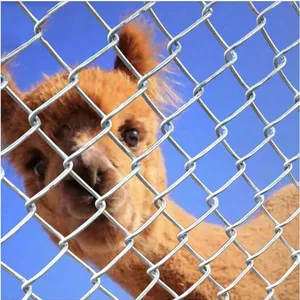 3.0mm 9 Gauge Galvanized Cyclone Mesh Chain Link Fence for Durable Security thumbnail-4