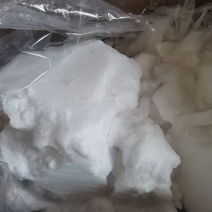 Camphor thumbnail-1
