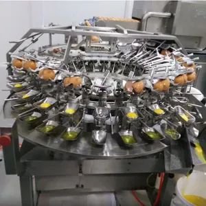 Whole Automatic Egg Processing Line thumbnail-6