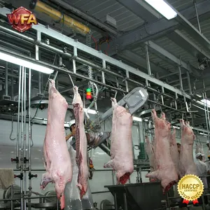Pig Slaughtering Line Pork Slaughter Machine Swine Slaughterhouse Equipment Abattoir Processing System thumbnail-4