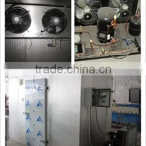 Fruit and Vegetable Warehouse/Cold Room thumbnail-3