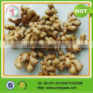 Specification Fresh Ginger thumbnail-1