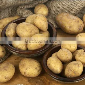 Farm Fresh Potato thumbnail-1