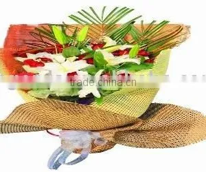 Raffia Net/paper Net/paper Mesh thumbnail-1