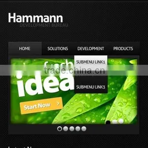 Web App Development thumbnail-1