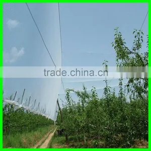 Anti Hail Systems/ Anti Hail Net / Hail Protection Nets for Agriculture thumbnail-6