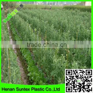 Strong Durable Trellis Netting Pea & Bean Support Net Tent Grow Net thumbnail-6