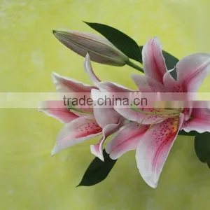 Colorful Best Selling High Quality Flowers Liliess thumbnail-3