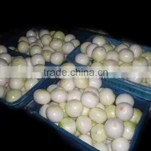 2014 New Crop High Quality Yunnan Fresh Yellow Onion thumbnail-3