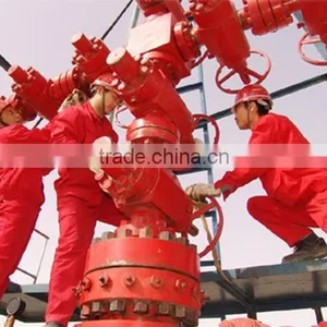 X-mas Tree Wellhead for Oil Drilling on Sale thumbnail-2
