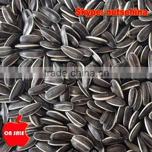 Sunflower Seeds 5009 3939 5135 909 118 thumbnail-4