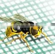 HDPE Plastic Extruded Net/window Screen Net thumbnail-1