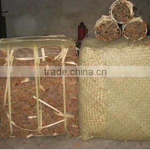 Chinese Cassia thumbnail-1