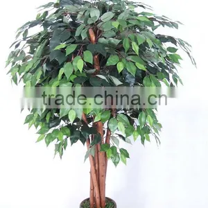 Artificial Ficus Tree With Trunks Team Potted in Planter thumbnail-1