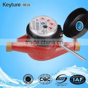 Wired Remote Hot Water Meter thumbnail-1