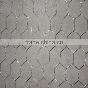 Galvanized and Pvc Hex Wire Mesh for Sale thumbnail-1