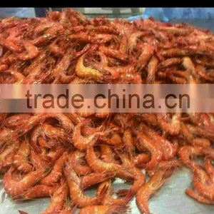 Tiger Prawn Cooked HOSO thumbnail-3