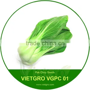 High Yield OP Pak Choy Seeds- VGBC thumbnail-1