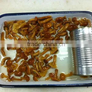 Canned Whole Button Mushroom thumbnail-3