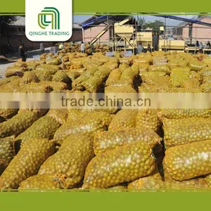 Natural High Quality Walnut Kernels Walnut Without Shell 18mm-24mm thumbnail-3
