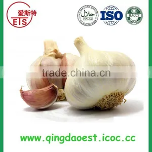 Chinese Jinxiang Grade A Fresh Normal White Garlic on Sale thumbnail-1