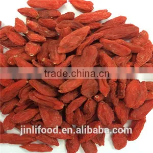 2016 New Sweet Goji Berry for Sales thumbnail-5