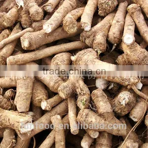 Fresh Horseradish for Sauce thumbnail-2