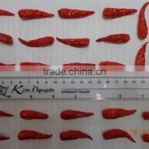 Dried Chilli thumbnail-3