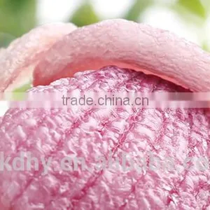 Dehydrated Purple Onion Chips thumbnail-2