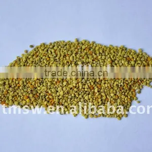 Natural Grade One Bee Pollen thumbnail-1
