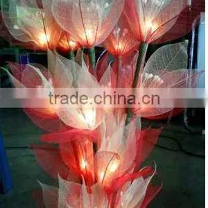 Lighting Flower thumbnail-1
