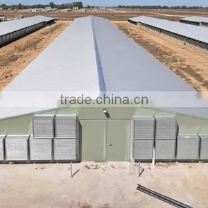 Steel Structure Chicken Shed /environmental Control Steel House thumbnail-3